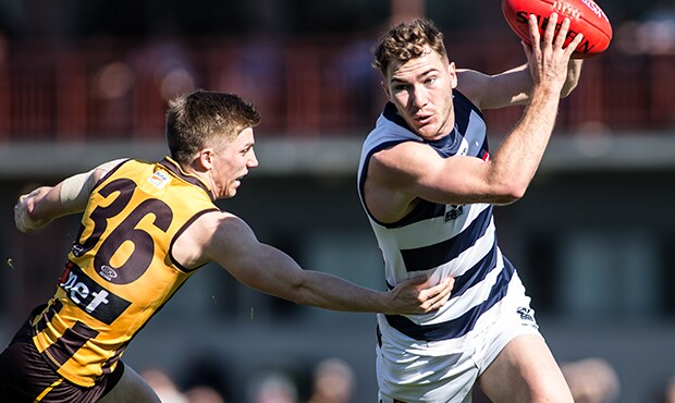 2018_09_07_VFL_Hero.jpg Jackson Thurlow is set to play a crucial role across half back against the Hawks - Geelong Cats